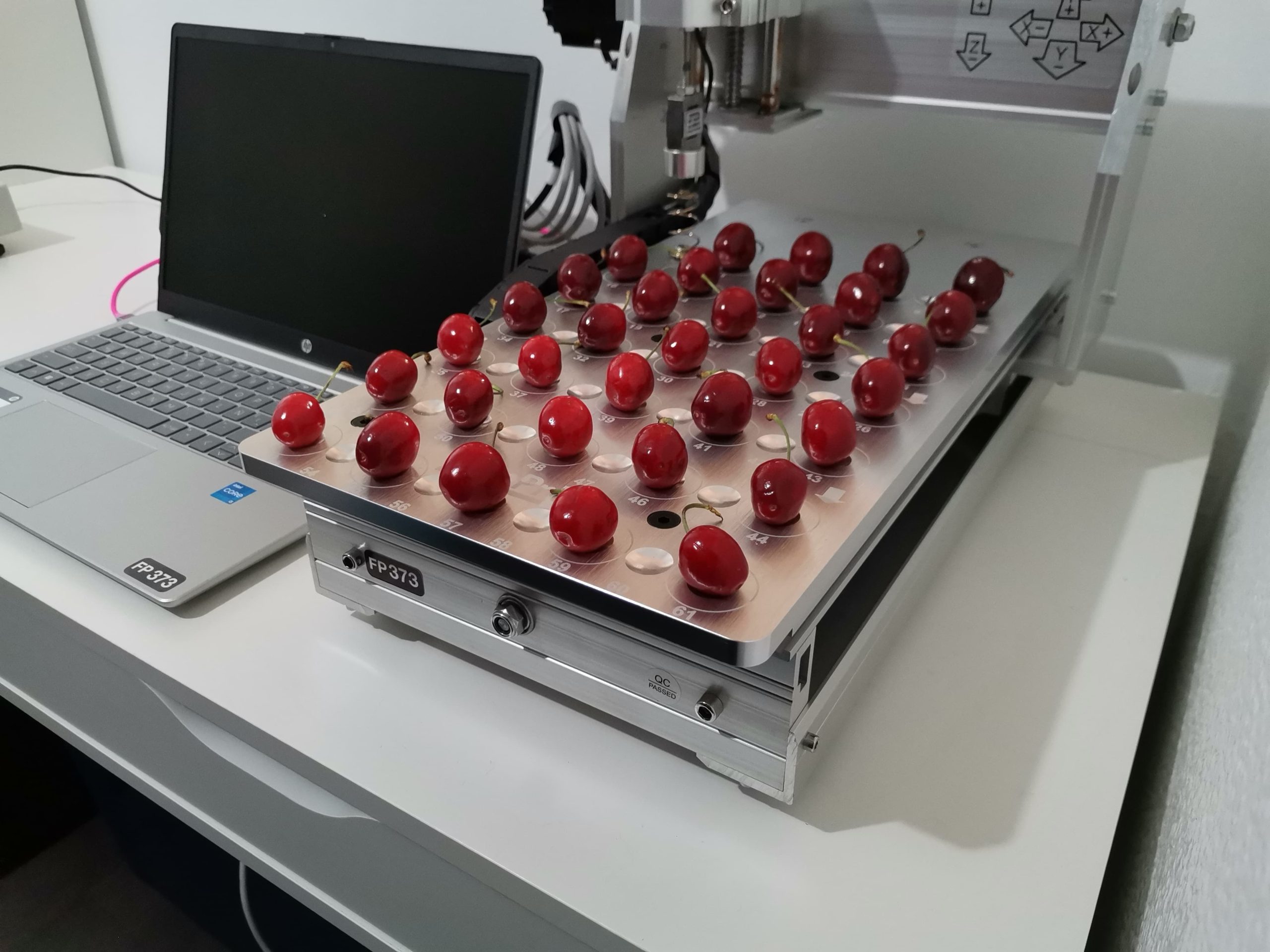 Equipo FirmPro con cerezas para evaluación instrumental de firmeza